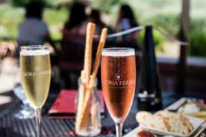 世界杯，全球足球的璀璨盛宴世界杯哪一届