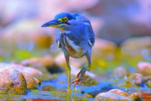 2022年足球世界杯，强队崛起与挑战足球世界杯强队