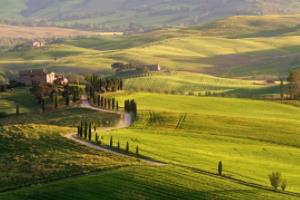 世界杯，全球足球的璀璨盛宴世界杯哪一届